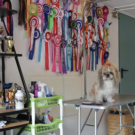 Los Perros Hermanos Oda ve Kahvaltı Comerio