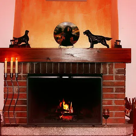 Los Perros Hermanos